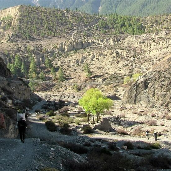 annapurna circuit trekking