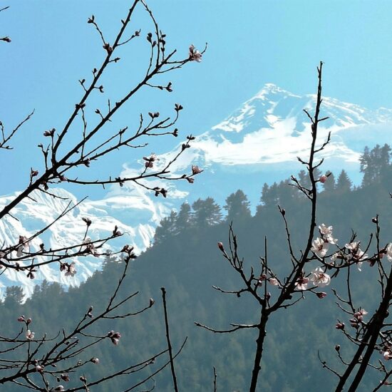 annapurna circuit trekking