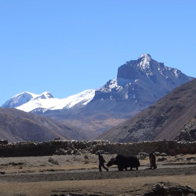Oberes- und unteres Dolpo Trekking